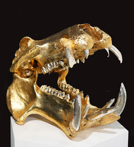 Bull Hippopotamus Skull, gold with silver teeth and tusks