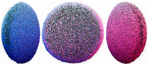 B20-H031-R70, 2020