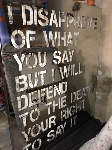 I Disapprove Of What You Say