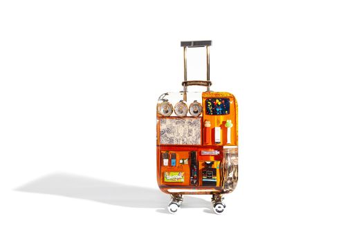 TRAVEL BAG - VALISE CABINE - A star is born, 2020