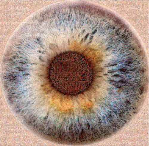 Eye, 2017