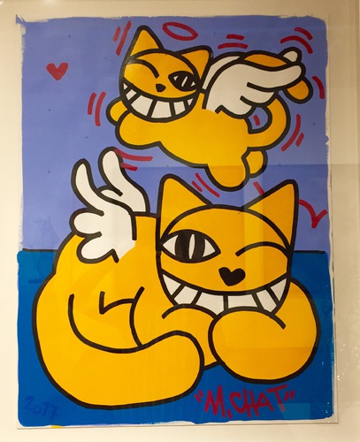 Chats volant 1