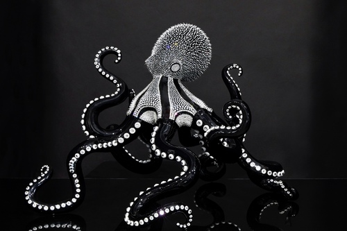 Poulpe Noir, 2020 - (50 cm)
