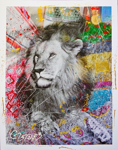 Simba 4 (153cm)