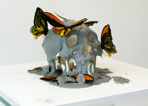 Vanité aux papillons gris