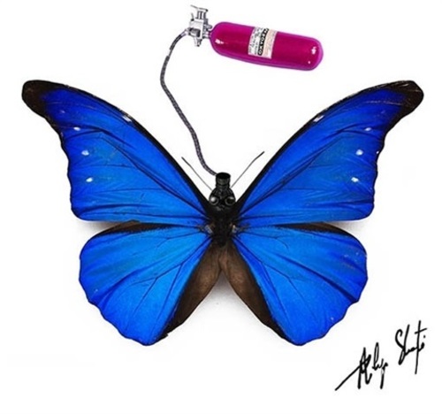 Gasmask Butterfly
