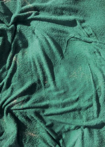 Empreinte (The Imprint) Green n° 3, 2010