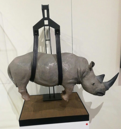 Il peso del tempo sospeso rhino grand